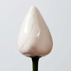 Huile Nourrissante Sailor Moon Essence Absolue Shu Uemura 150ML -Produits Capillaires huile essence absolue shu uemura 150ml 3