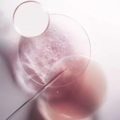 Masque Filler Chroma Absolu Kérastase 200ML 15 Masque Filler Chroma Absolu Kérastase 200ML -Produits Capillaires masque filler chroma absolu kerastase 200ml 6