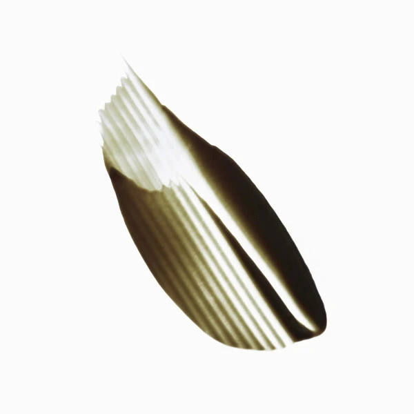 Masque Vert Neutralisant Chroma Absolu Kérastase 150ML 4 Masque Vert Neutralisant Chroma Absolu Kérastase 150ML – Image 2