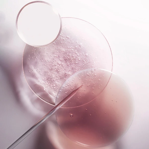 Recharge Bain Riche Cheveux Normaux à épais Chroma Absolu Kérastase 500ML 9 Recharge Bain Riche Cheveux Normaux à épais Chroma Absolu Kérastase 500ML – Image 7