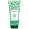 Shampooing énergisant Forticea René Furterer 200ML 2 Shampooing énergisant Forticea René Furterer 200ML -Produits Capillaires shampooing energisant forticea rene furterer 200ml