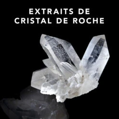 Spray Capillaire Trilliant Sebastian 150ML 11 Spray Capillaire Trilliant Sebastian 150ML -Produits Capillaires spray capillaire trilliant sebastian 150ml 2