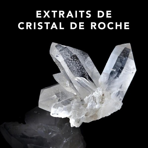 Spray Capillaire Trilliant Sebastian 150ML 5 Spray Capillaire Trilliant Sebastian 150ML – Image 3